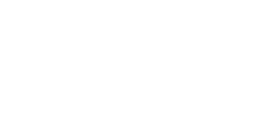 SmithNsmith logo